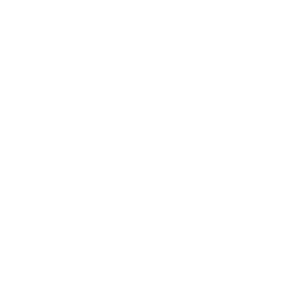 Roami Logo